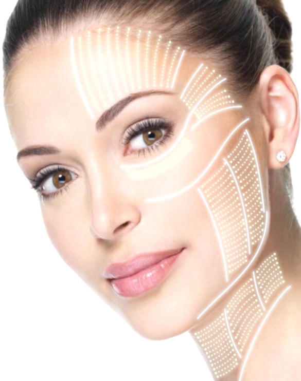 Лифтера Санте Эстетик.jpg