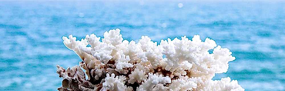 Коралловый пилинг