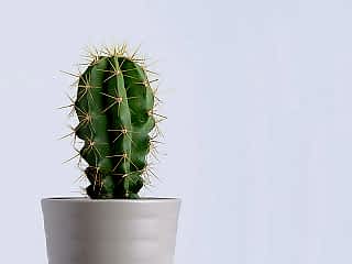 Удаление волос